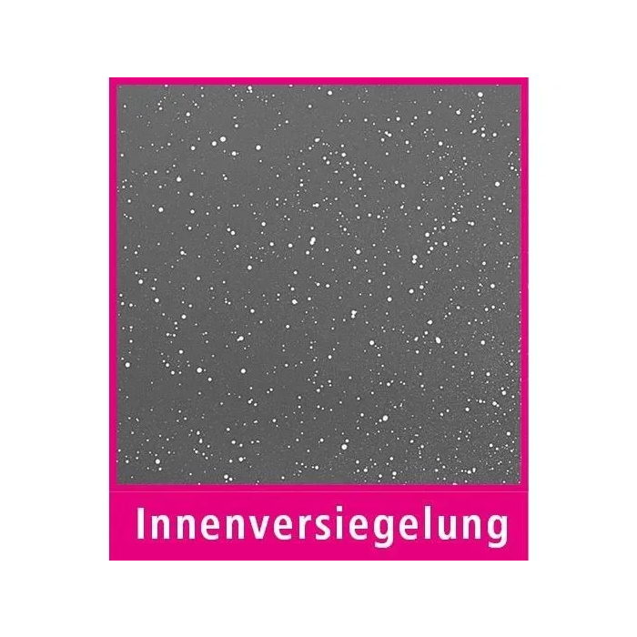 GSW Cacerola de Inducción Greblon con Porta Ollas - 8.5 Litros 1 GSW Cacerola de Inducción Greblon con Porta Ollas - 8.5 Litros 1