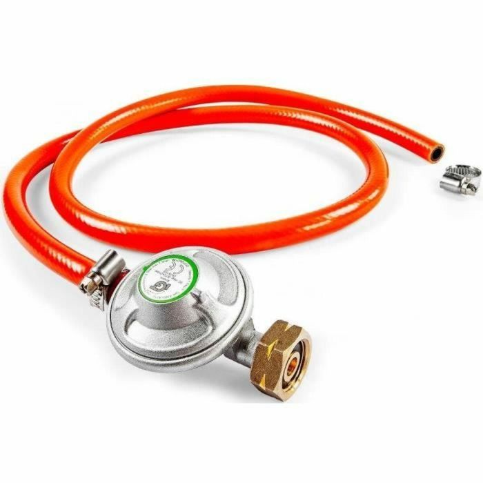 Fieldmann Parrilla FZG 3010 1