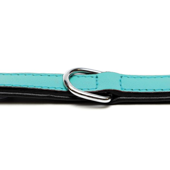 Gloria Collar Piel Acolchado Turquesa 55 cm x 25 mm 1