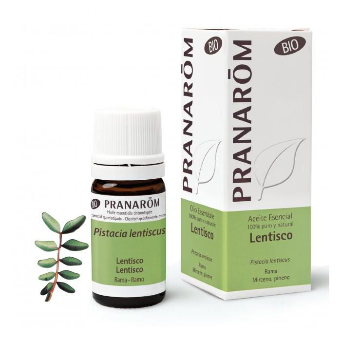 Aceite Esencial Aeqt Lentisco Bio Aceite Esencial Aeqt Lentisco Bio