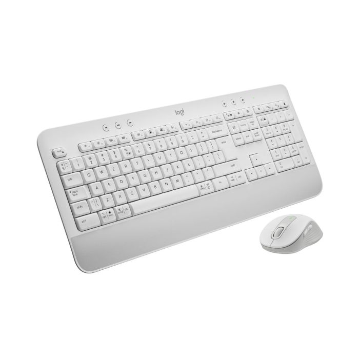 Ratón Logitech 920-011022 Blanco 4000 dpi 5