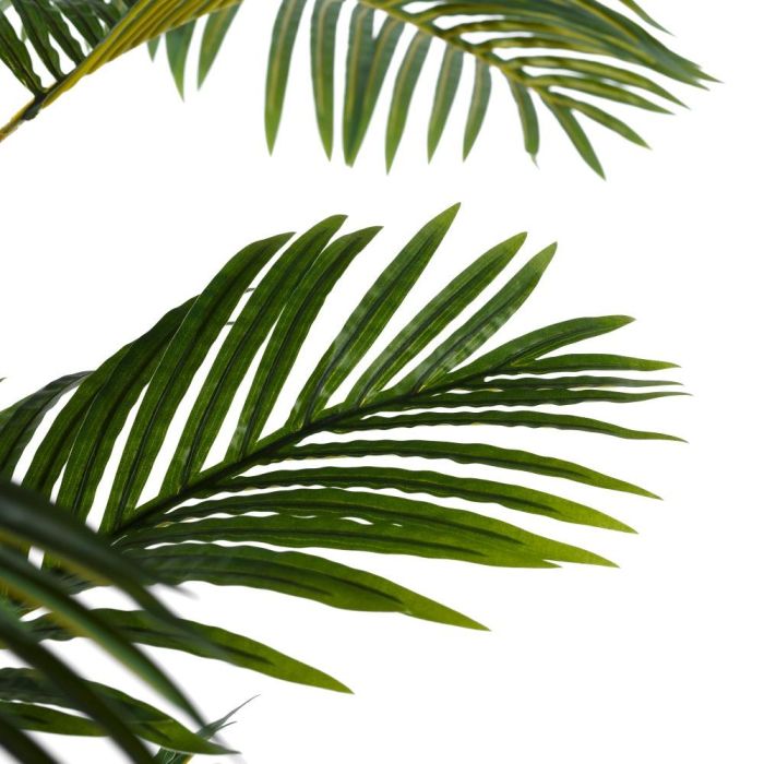 Planta Areca Palmera Verde 100 X 130 X 210 cm