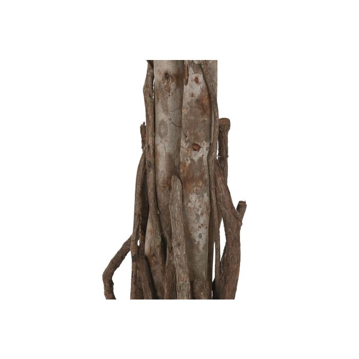 Planta DKD Home Decor Verde 80 x 150 x 80 cm (2 Unidades) 2 Planta DKD Home Decor Verde 80 x 150 x 80 cm (2 Unidades) 2