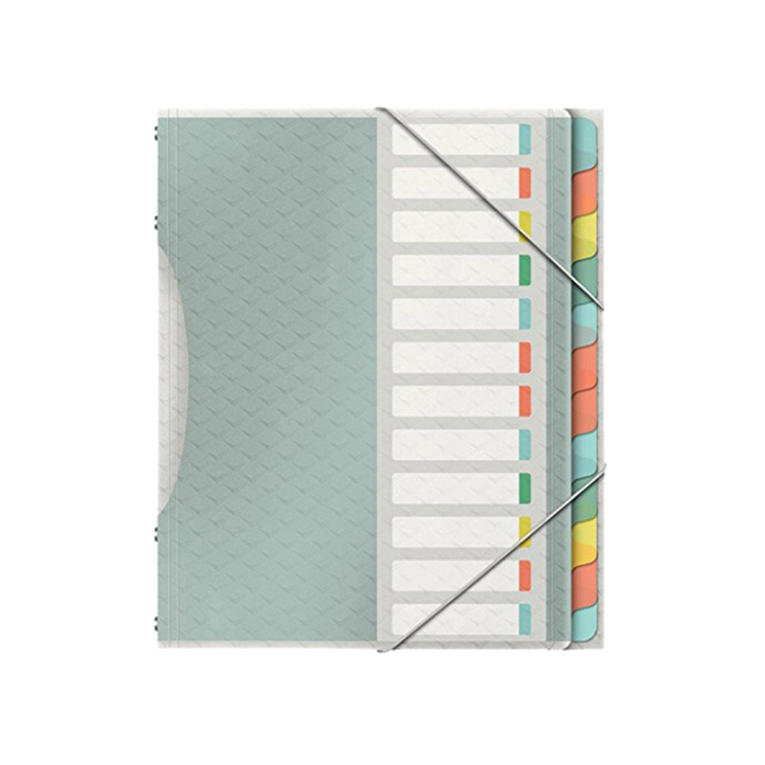 Esselte Carpeta Clasificadora Fuelle Polipropileno Transparente 12 Separadores Colores Cierre Gomas Elásticas DIN A4 325x265x45 mm 1