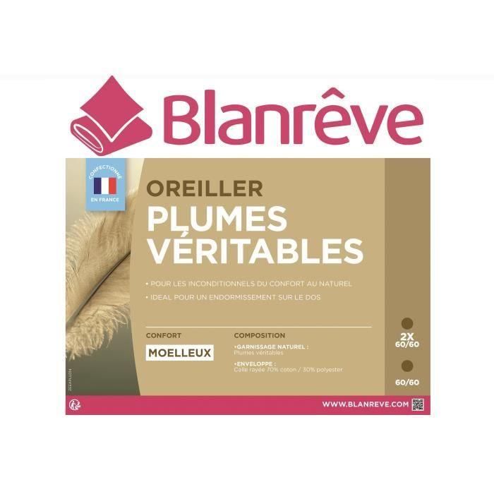 BLANREVE Juego de 2 almohadas de plumas - 60x60 cm 2 BLANREVE Juego de 2 almohadas de plumas - 60x60 cm 2
