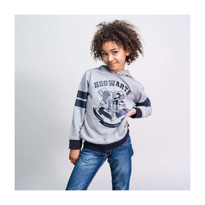 Sudadera con Capucha Niño Harry Potter Gris 12 Años 2
