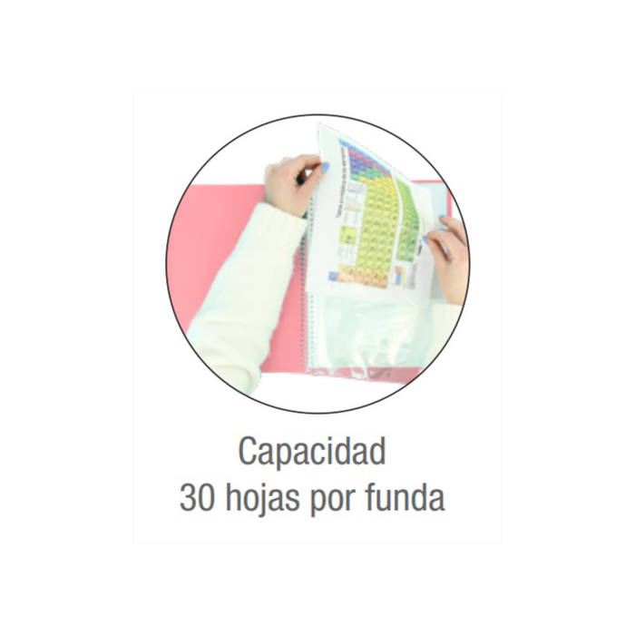 Oxford 400146217 Carpeta de Fundas A4, 30 Fundas, Tapa Plástico, Cierre Goma, Colores Surtidos 3