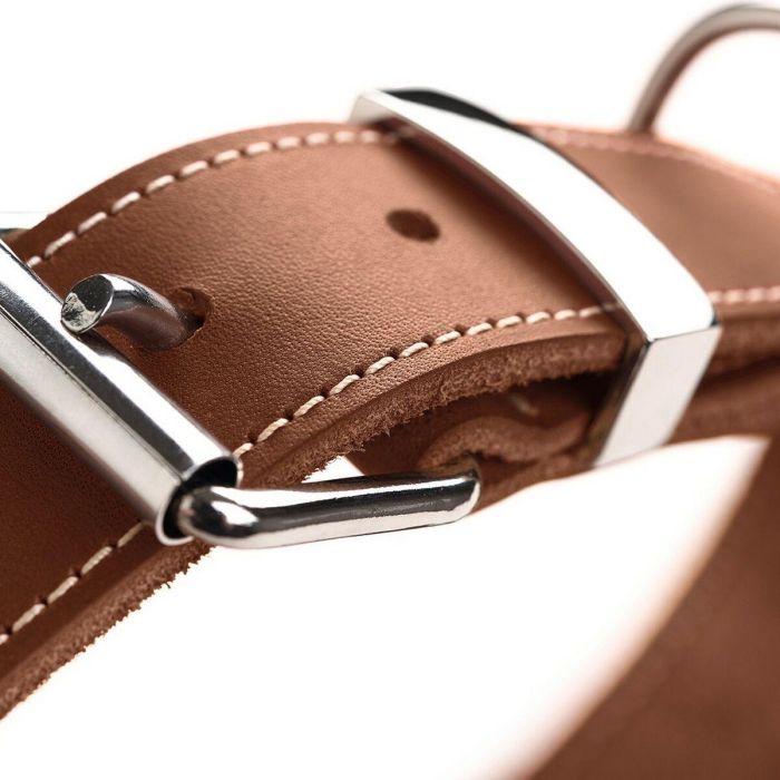 Collar para Perro Hunter Aalborg Cognac (24-30 cm) 4