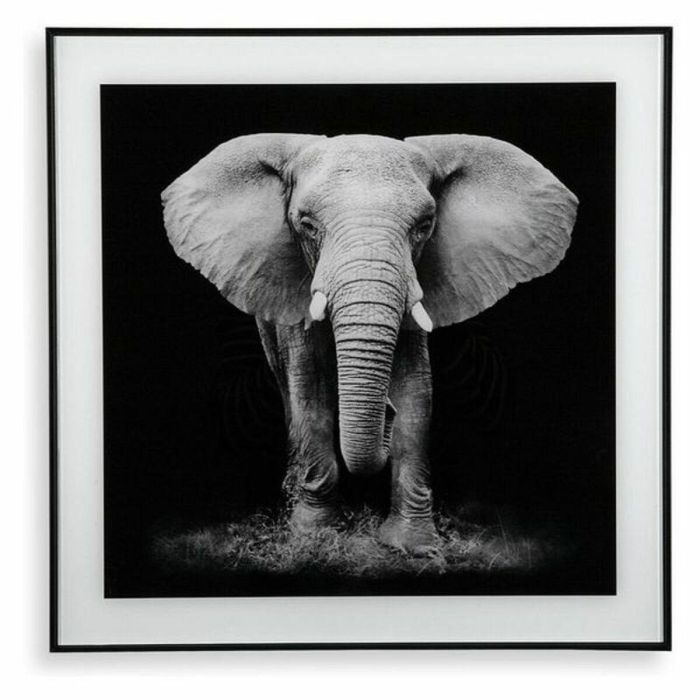 Cuadro Elefante en Cristal Versa - 2x50 cm (2 Unidades) Cuadro Elefante en Cristal Versa - 2x50 cm (2 Unidades)