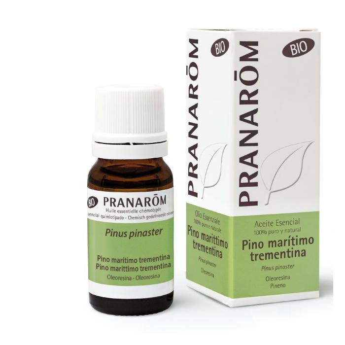 Aceite Esencial Aeq Pino Marítimo Bio 10 Ml Aceite Esencial Aeq Pino Marítimo Bio 10 Ml
