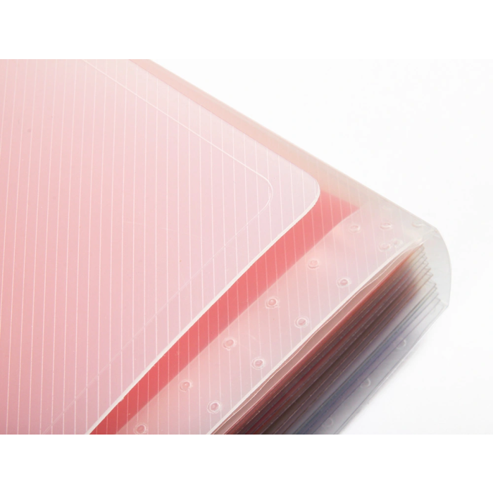 Liderpapel Spectrafile Carpeta Clasificadora Fuelle con 13 Departamentos de Colores en Polipropileno Transparente A5 5 Liderpapel Spectrafile Carpeta Clasificadora Fuelle con 13 Departamentos de Colores en Polipropileno Transparente A5 5