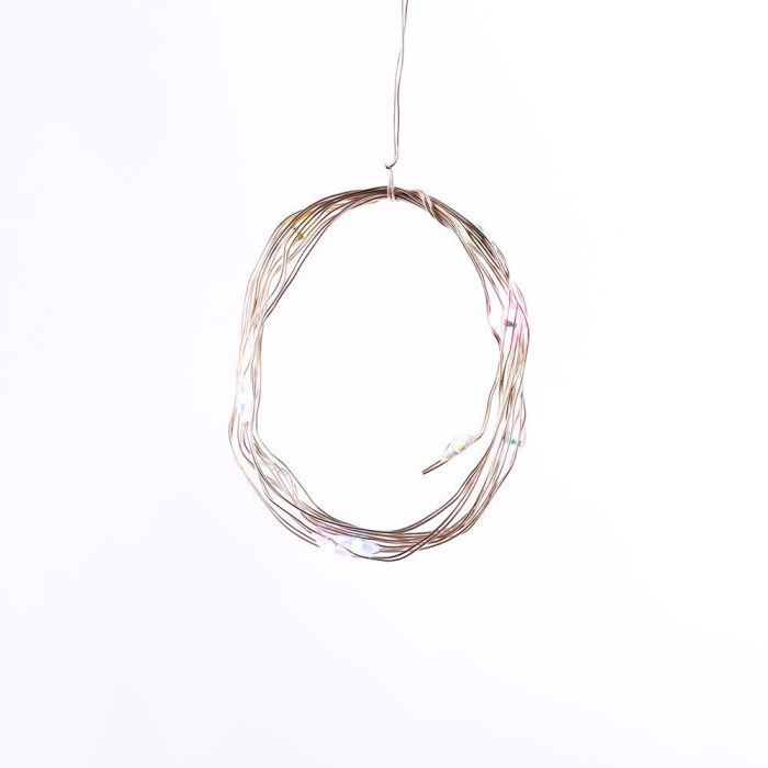 Guirnalda LED Interior 1M [HO-XMAS-033-IP20-1M-RGB] 1