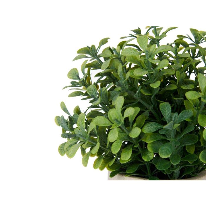 Maceta Plastico Grande Flores Verdes Surtidos Ibergarden 22X29CM (6 Unidades) 2 Maceta Plastico Grande Flores Verdes Surtidos Ibergarden 22X29CM (6 Unidades) 2