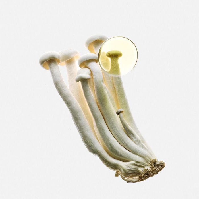 Loewe Earth Elixir EDP Vapo 100 ml Mujer Loewe Earth Elixir EDP Vapo 100 ml Mujer