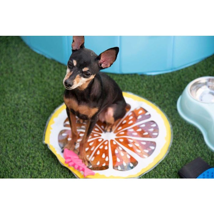 Mascow Alfombra Refrescante de Gel y PVC para Mascota Naranja 35x35 cm (12 Unidades) 4 Mascow Alfombra Refrescante de Gel y PVC para Mascota Naranja 35x35 cm (12 Unidades) 4
