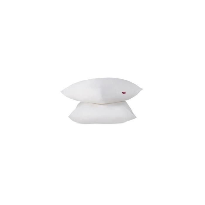 ABEIL Juego de 2 almohadas Aerelle Cool Night - 60 x 60 cm - Blanco 1 ABEIL Juego de 2 almohadas Aerelle Cool Night - 60 x 60 cm - Blanco 1