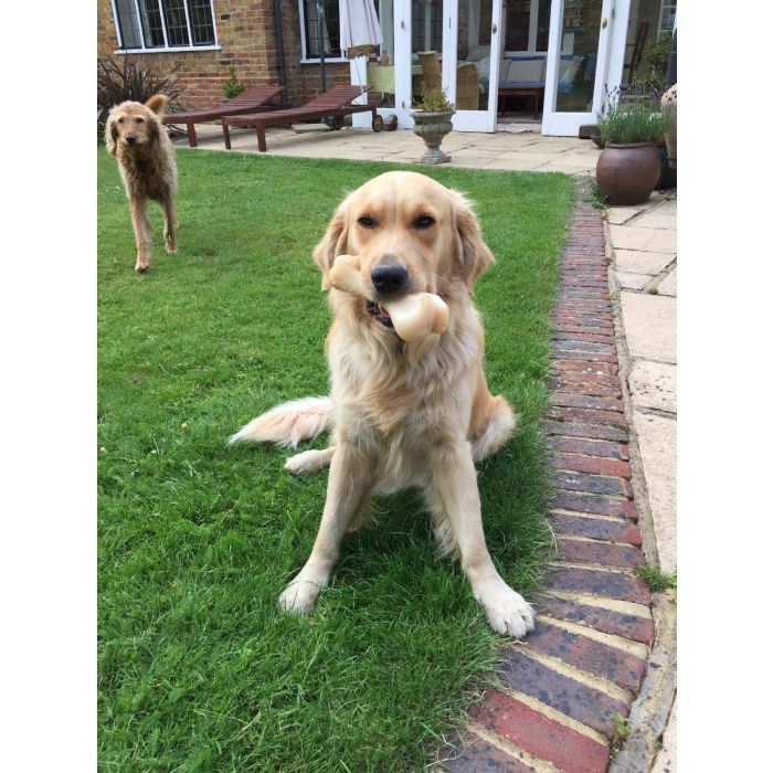 Nylabone Extreme Chew Hueso Masticable de Nylon Sabor Ternera XXL para Perros Grandes (+23kg), Juguete Duradero Limpieza Dental 4