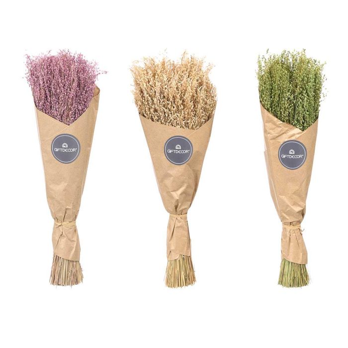 Giftdecor Ramillete de Centeno Natural Surtido, Vegetal, Colores Natural, Verde y Morado, 10x40x10 cm 1