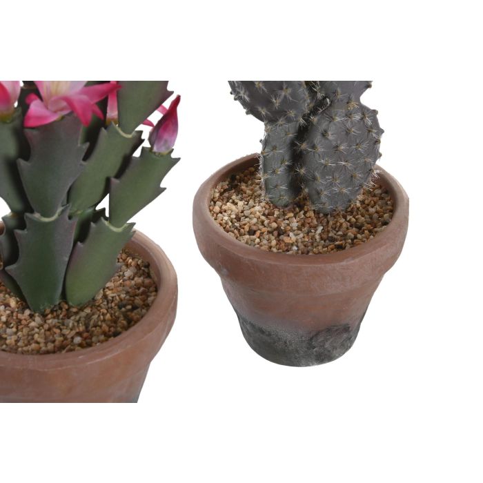 DKD Home Decor Planta Cactus Verde Rosa 15 x 29 x 15 cm (4 Unidades) 2 DKD Home Decor Planta Cactus Verde Rosa 15 x 29 x 15 cm (4 Unidades) 2