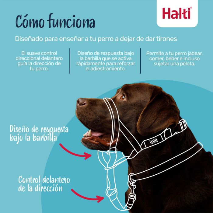 Bozal Company of Animals COBALT Azul Talla 1 9 Bozal Company of Animals COBALT Azul Talla 1 9