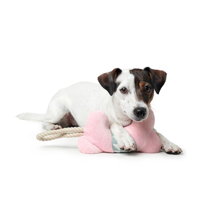 Juguete Para Perro Salima Bone Rosa 2 Juguete Para Perro Salima Bone Rosa 2