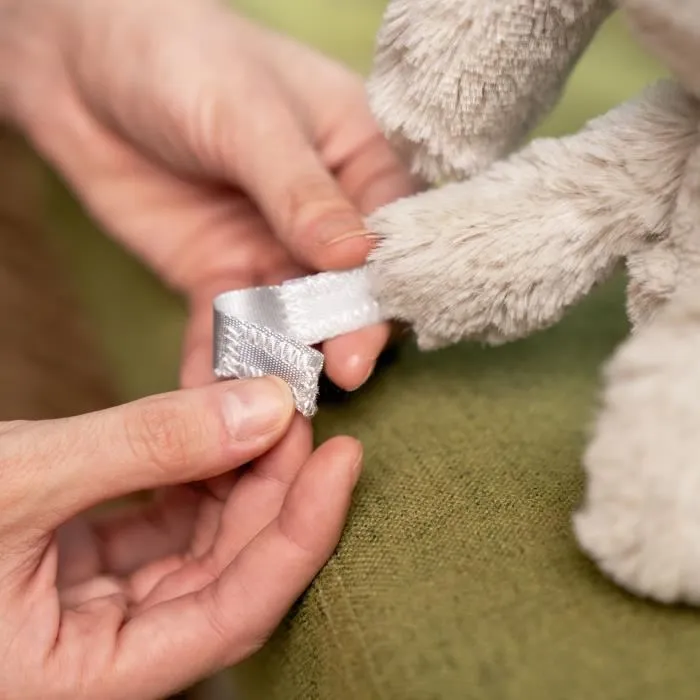 Ingenuity Luz de Noche para Bebé Conejito Sylvie de Peluche ING0074451173088, Musical, Luminosa, Responde al Llanto, Ruido Blanco, Clip para Chupete 4