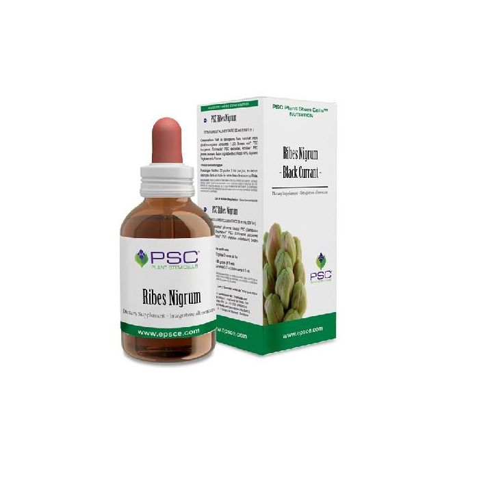 Psc Ribes Nigrum