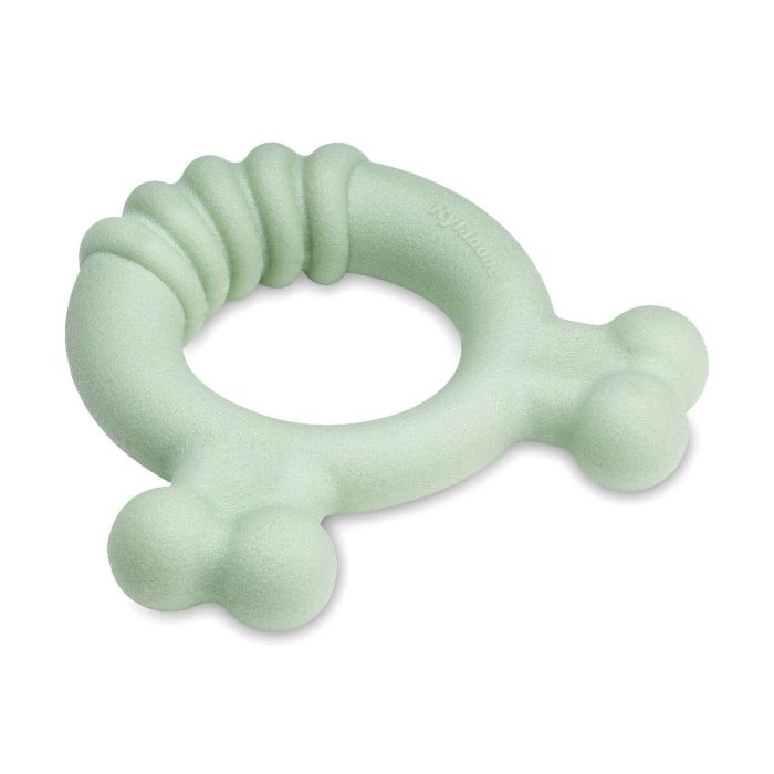 Mordedor de perro Nylabone SENSORY TACTILE RING Verde Manteca de cacahuete Pollo S 4