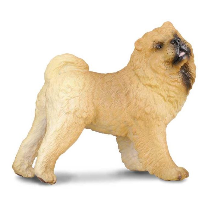 Collecta 88183 Figura de Perro Chow Chow réplica realista a escala L pintada a mano y modelada al detalle para niños +3 años Collecta 88183 Figura de Perro Chow Chow réplica realista a escala L pintada a mano y modelada al detalle para niños +3 años