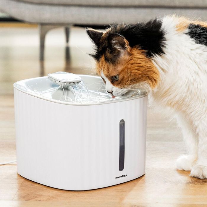 Pack Clip de Selfies para Mascotas y Fuente para Mascotas InnovaGoods 16