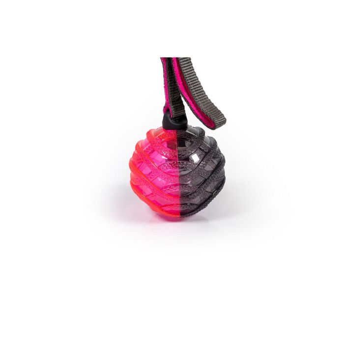 Gloria Pelota Honda Interactiva On-Off con Sonido para Perros Play And Run, Talla L, Gris y Rosa, 8.89 cm (Evita Destrucción) 1 Gloria Pelota Honda Interactiva On-Off con Sonido para Perros Play And Run, Talla L, Gris y Rosa, 8.89 cm (Evita Destrucción) 1