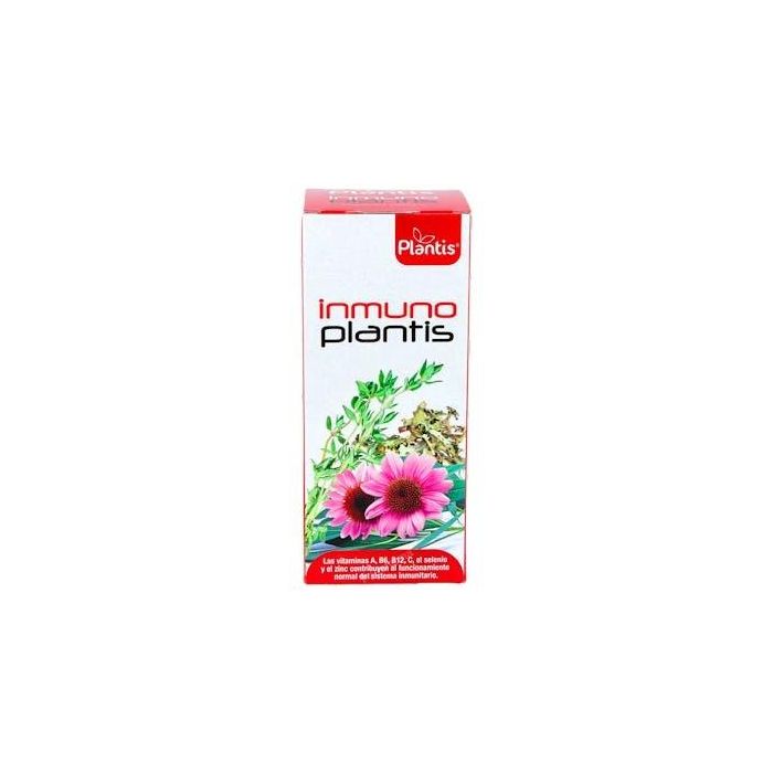 ARTESANIA Inmunoplantis Jarabe 250ml con Equinácea y Jalea Real para Aumentar Defensas y Resistencia a Infecciones