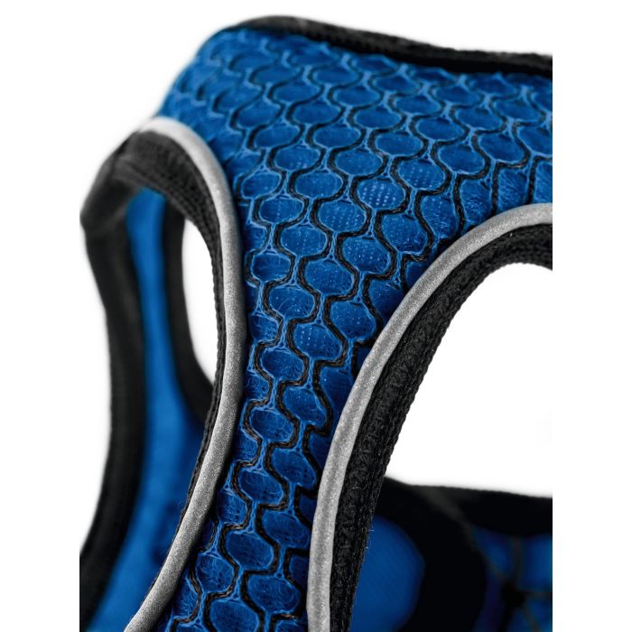 Arnés Hilo Comfort XS Cuello: 35-37 cm Azul Arnés Hilo Comfort XS Cuello: 35-37 cm Azul