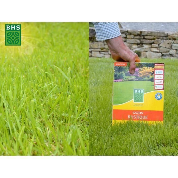 Césped - BHS - Césped Rústico 20kg, para jardines tradicionales y todo tipo de suelos. Denso, estético, rápido y duradero. 3 Césped - BHS - Césped Rústico 20kg, para jardines tradicionales y todo tipo de suelos. Denso, estético, rápido y duradero. 3