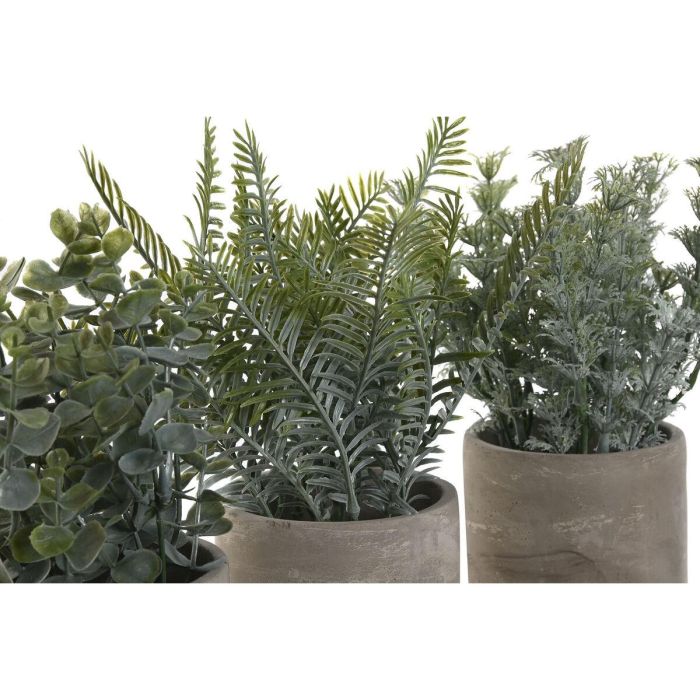 Planta DKD Home Decor Gris Verde 13 x 24 x 13 cm (3 Unidades) 2