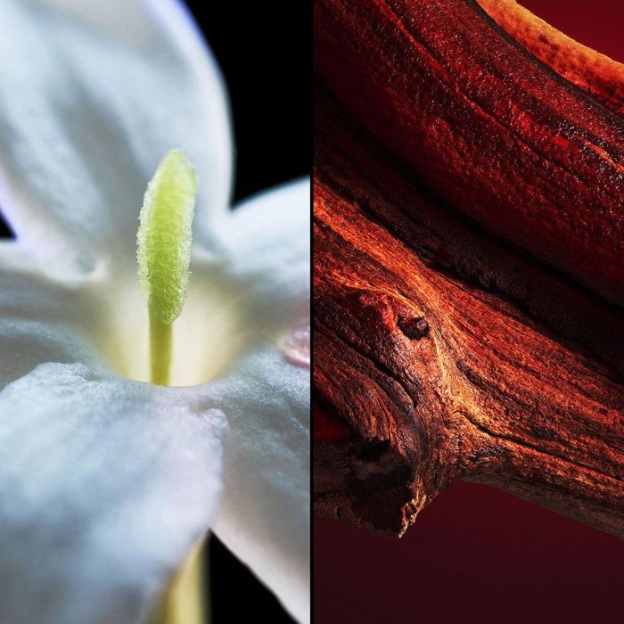 Guerlain Samsara Eau de Toilette Vaporizador para Mujer 75 ml 2