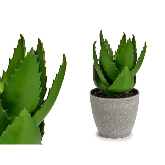 Maceta Grande para Aloe Vera Ibergarden 15x23.5x15 cm, Verde/Gris, Plástico (12 Unidades) Maceta Grande para Aloe Vera Ibergarden 15x23.5x15 cm, Verde/Gris, Plástico (12 Unidades)