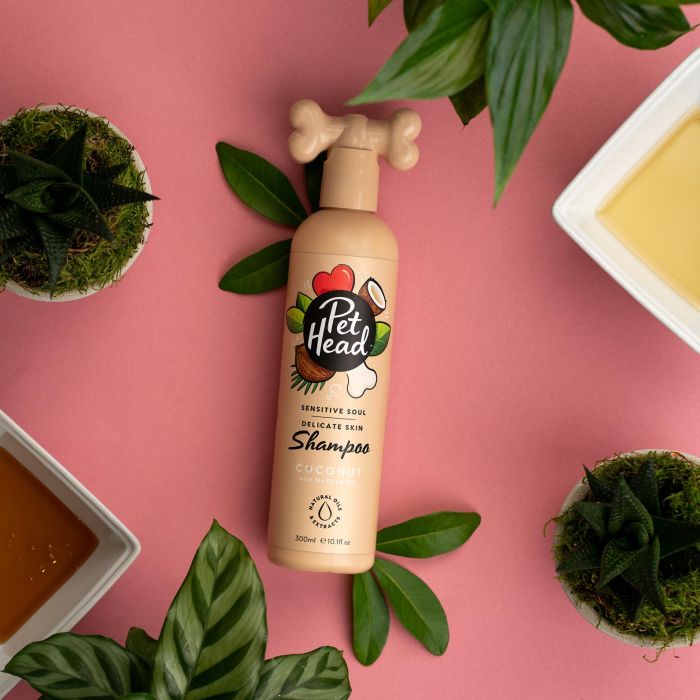Pet Head Champú Sensitive Soul Calmante para Perros con Piel Delicada y Sensible, Avena, Aceite de Marula y Coco, 300 ml
