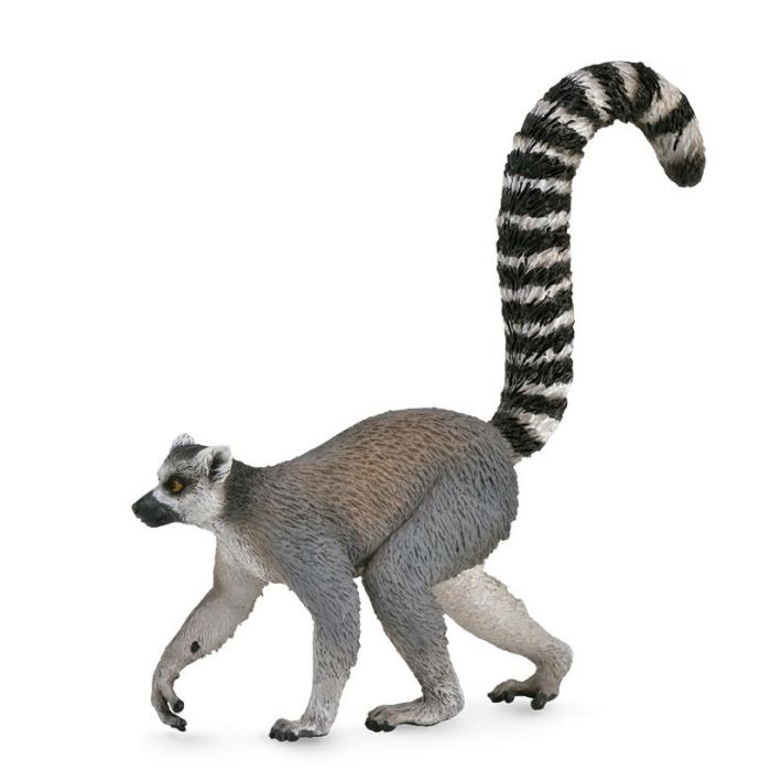 Collecta 88831 Lemur con Cola Anillada Figura Animal Primate Detallado Talla M Cola Blanca Negra Anillada +3 Años 2 Collecta 88831 Lemur con Cola Anillada Figura Animal Primate Detallado Talla M Cola Blanca Negra Anillada +3 Años 2