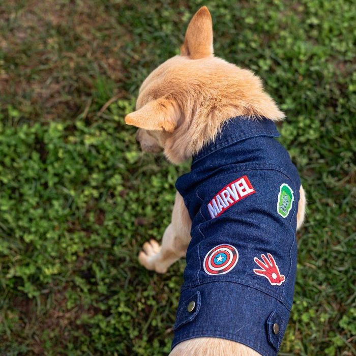 Chaqueta para Perro Marvel Azul S 11 Chaqueta para Perro Marvel Azul S 11