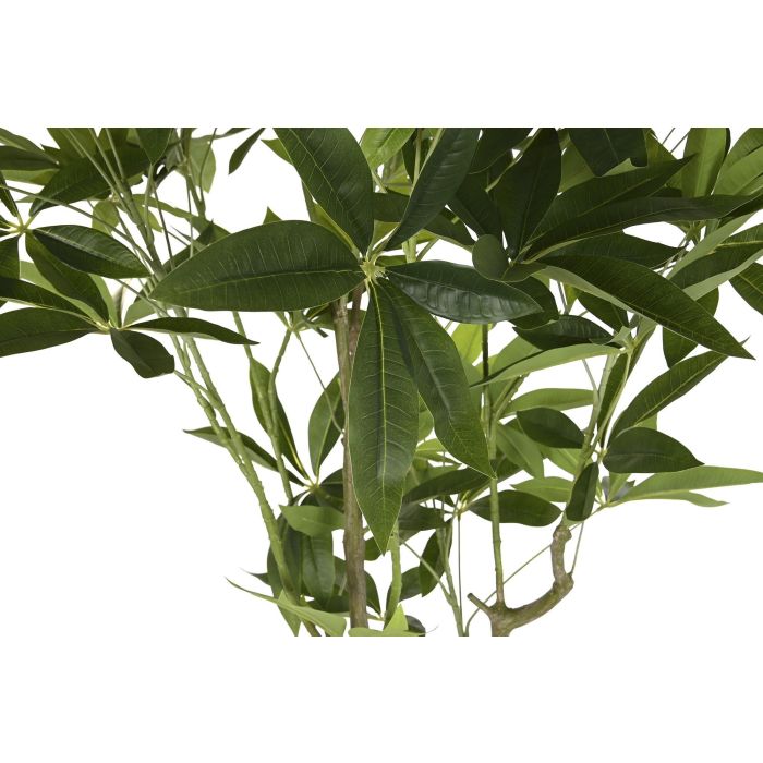 DKD Home Decor Árbol Verde 80 x 180 x 80 cm (2 Unidades) 1