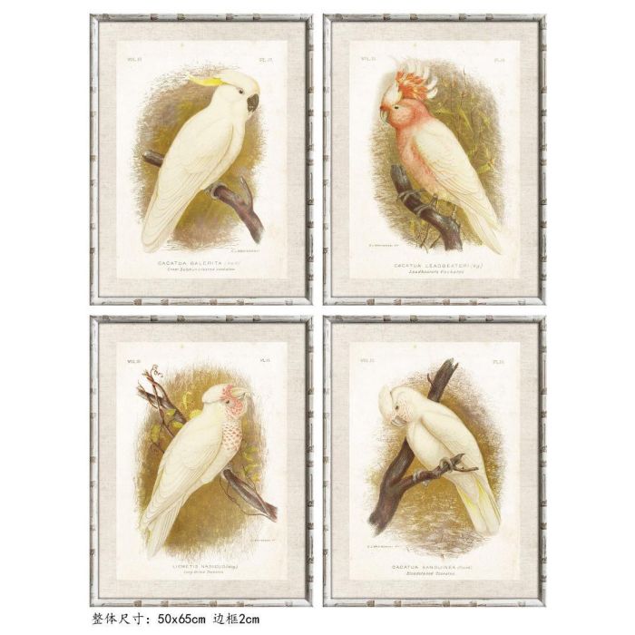 DKD Home Decor Cuadro Decorativo Cacatua Estilo Cottage Blanco, Bambú y Cristal, 2.8x65x50 cm, Set de 4 Unidades Surtidas