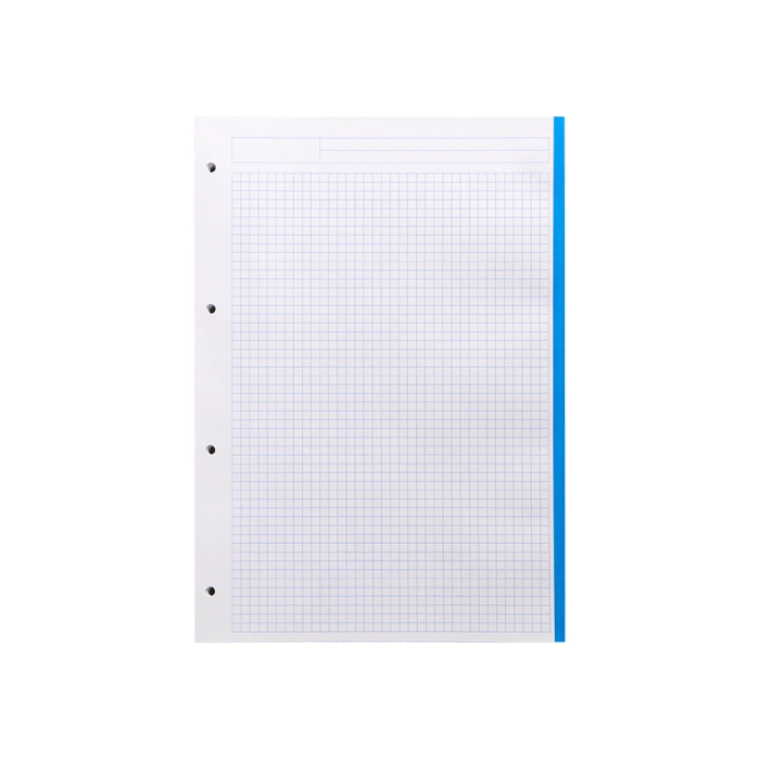 Liderpapel Recambio A4 120 Hojas 80gr Cuadro 5mm Sin Margen 4 Taladros Bandas de 5 Colores 5