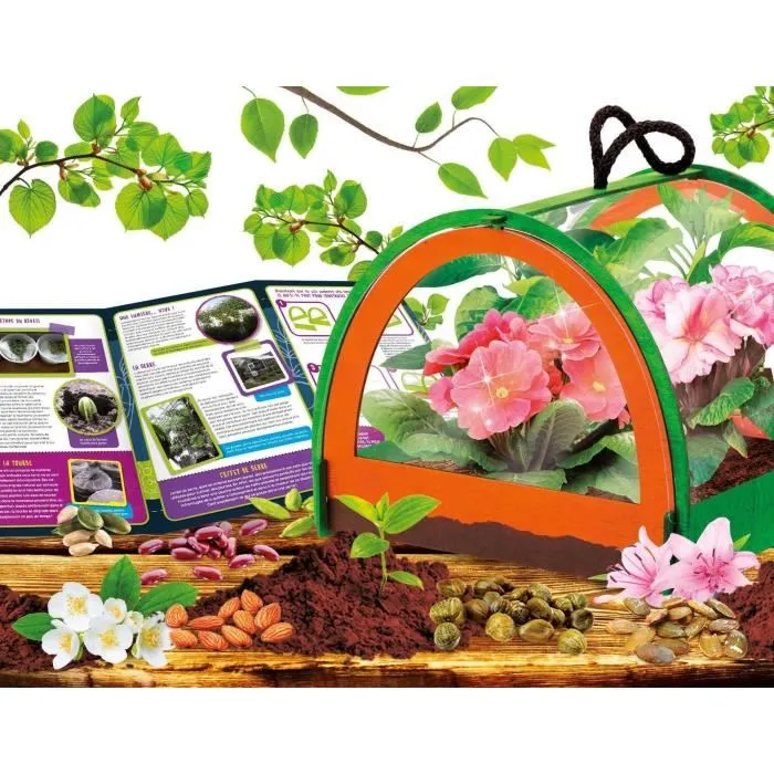 Lisciani Giochi Descubrimiento Botánico - Kit Científico I'M A GENIUS POCKET - Invernadero Miniatura, Experimentos Botánicos LIS8008324105007 2 Lisciani Giochi Descubrimiento Botánico - Kit Científico I'M A GENIUS POCKET - Invernadero Miniatura, Experimentos Botánicos LIS8008324105007 2