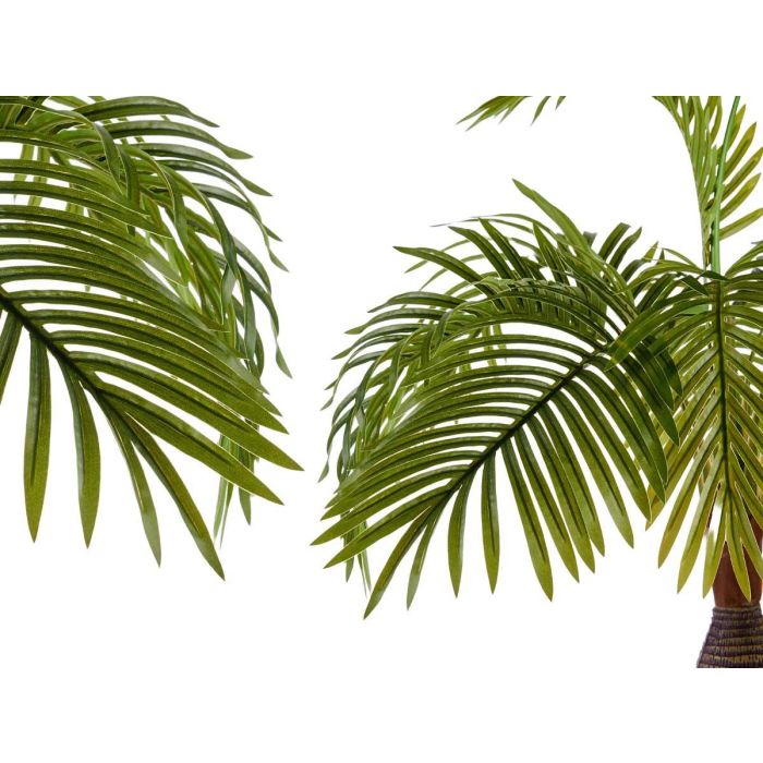 Palmera en Maceta Ibergarden - 90 cm de Alto, Maceta 15x15x14 cm 2 Palmera en Maceta Ibergarden - 90 cm de Alto, Maceta 15x15x14 cm 2