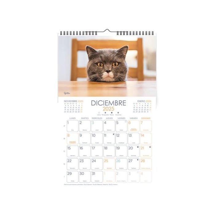 Calendario Espiral Pared Liderpapel Imagenes Gatos 2025 Para Escribir 25x40 cm Papel 157 gr 2