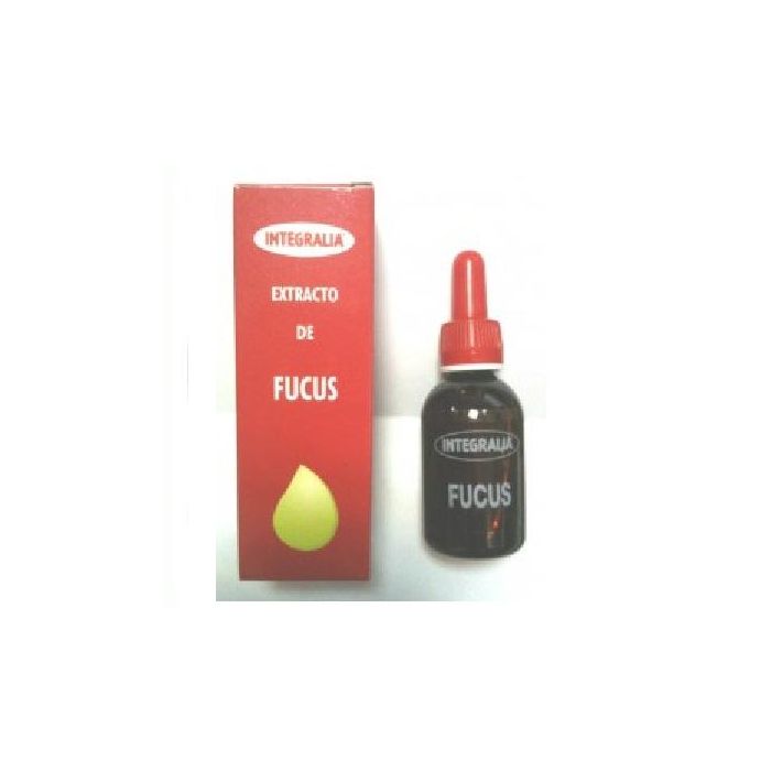 Fucus Extracto Fucus Extracto