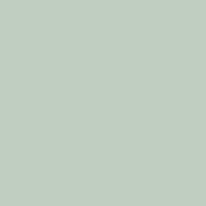 RIPOLIN Pintura de color satinado de ultra cobertura para cocina, dormitorio, salón, recibidor, entrada, pasillo - Verde Palatino 1 RIPOLIN Pintura de color satinado de ultra cobertura para cocina, dormitorio, salón, recibidor, entrada, pasillo - Verde Palatino 1