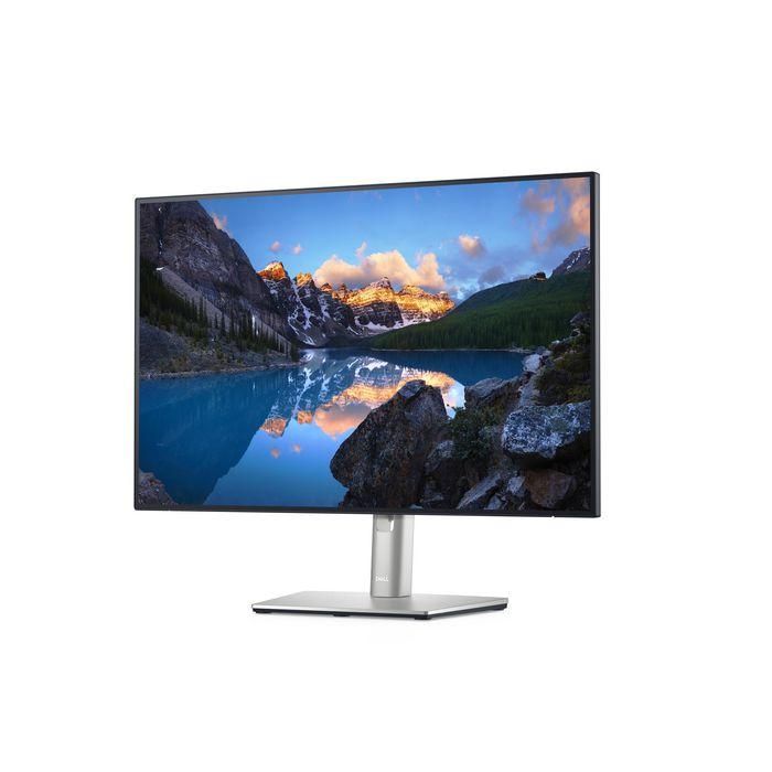 Dell Monitor 24.1" WUXGA (1920x1200) LED IPS con ComfortView Plus y Conectividad RJ45 Ethernet 1