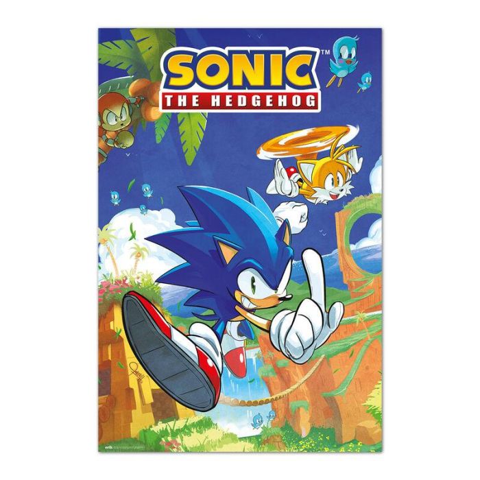ERIK Poster Sonic & Tails Sonic The Hedgehog 91,5x61cm, Papel Brillo Alta Calidad 150gr